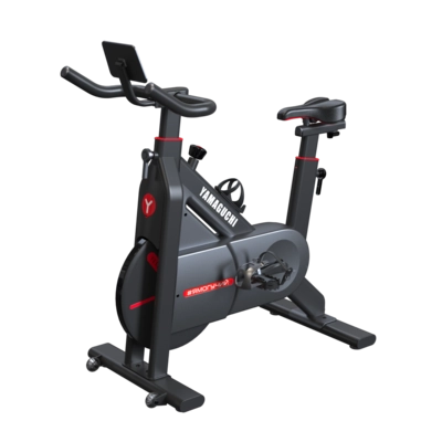 Ремонт Fitness Bike
